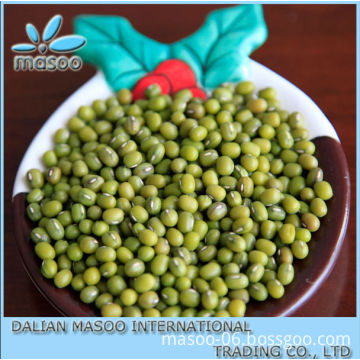 Good Quality 2013 Crop Bulk Mung Beans